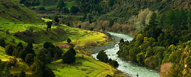 new-zealand