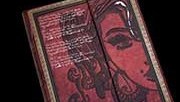paperblanks-amy-winehouse-180×124