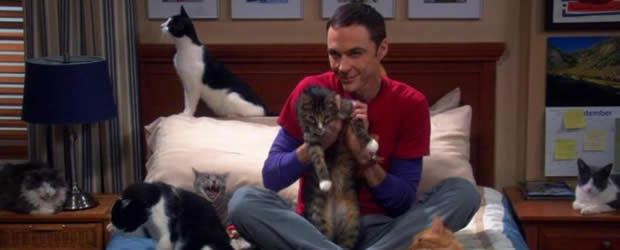 sheldon-chats