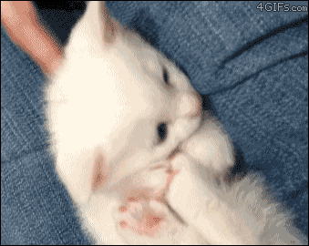 tumblr_mm9n3sdycy1ry1y7qo8_r1_400 tumblr_mm9n3sdycy1ry1y7qo8_r1_400