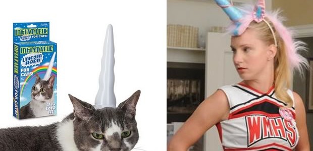 chat-britanny chat-britanny