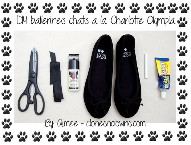 fournitures-ballerines-chats