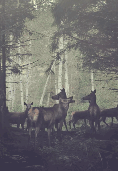 tumblr_mnghemBGPF1rqpovto1_500 tumblr_mnghemBGPF1rqpovto1_500