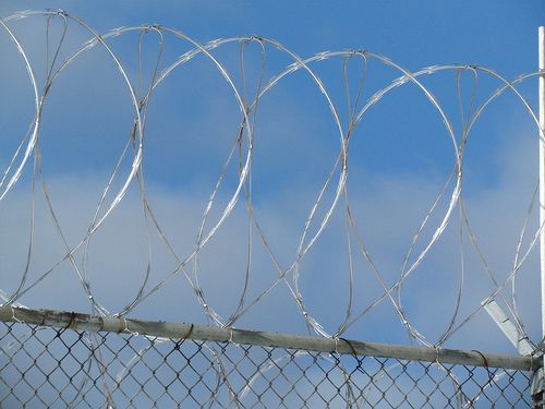 barbwire barbwire