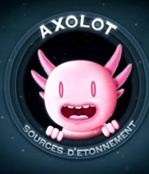 axolot-science-fun-youtube