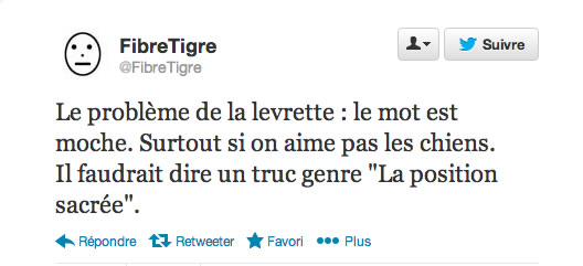 fibre tigre fibre tigre