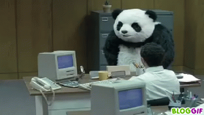 panda ronchon panda ronchon