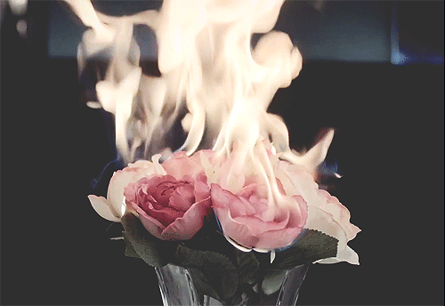 rosesfirehazard rosesfirehazard