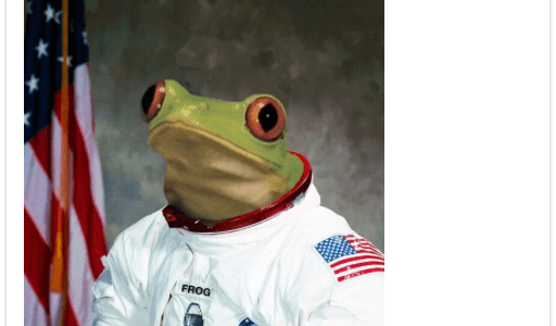 frogtwitter frogtwitter