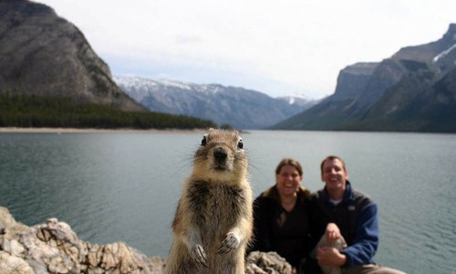 photobomb photobomb