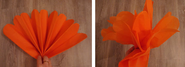 pompon-1-4 pompon-1-4