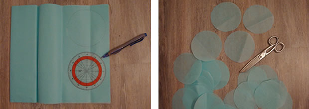 pompon-2-2 pompon-2-2
