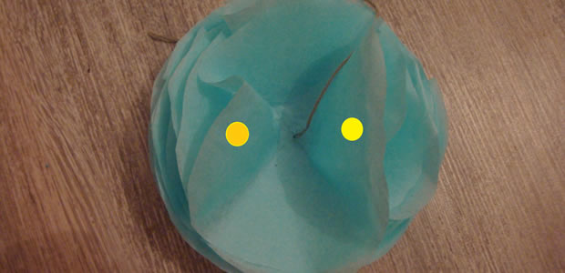 pompon-2-9 pompon-2-9