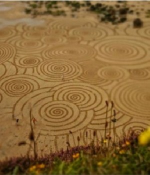 sand-art-poesie-tony-plant
