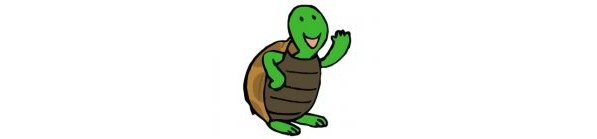 carapatte carapatte
