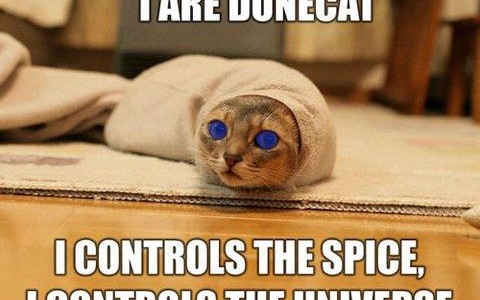 dunelol dunelol