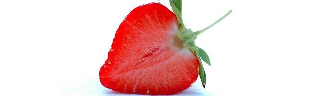 fraise fraise