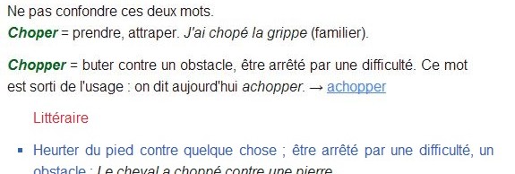 larousse choper chopper larousse choper chopper