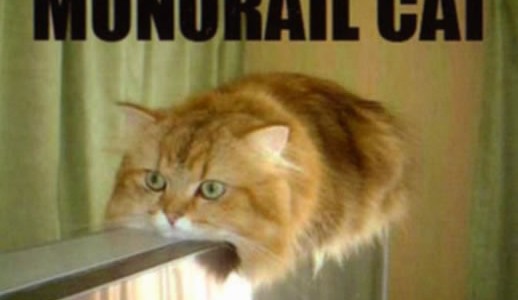 monorailcatbon monorailcatbon