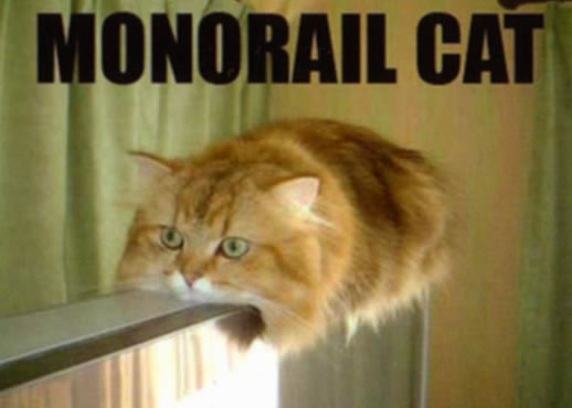 monorailcatbon