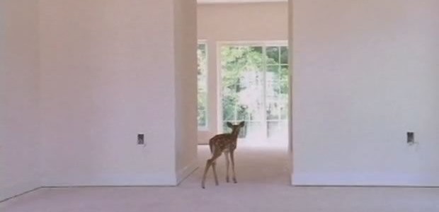 pierre-huyghe-3 pierre-huyghe-3