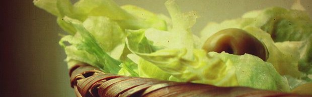 salade salade