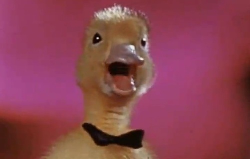 saturnin saturnin