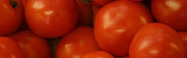 tomates tomates