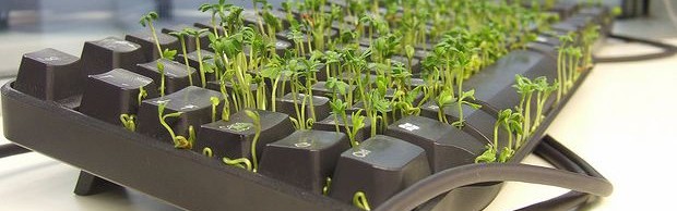 clavier-graines clavier-graines