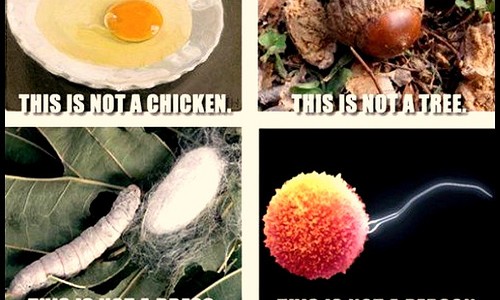 egg is no chicken egg is no chicken
