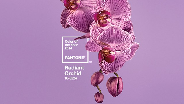 radiant-orchid-maquillage