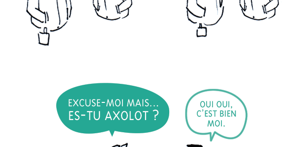 compte-rendu-angouleme-2014 compte-rendu-angouleme-2014