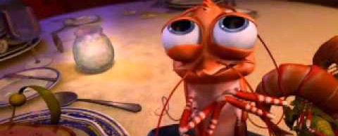 crevette-shark-tale crevette-shark-tale