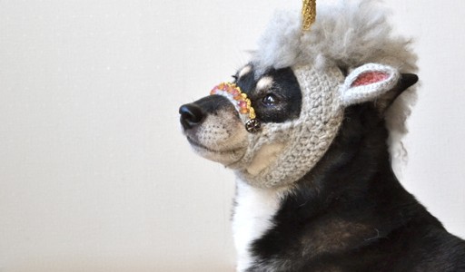 chien-licorne-2 chien-licorne-2