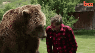 ours ours