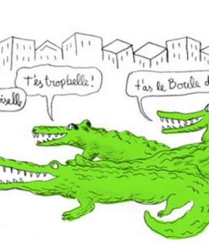 projet-crocodiles-conseils-agression