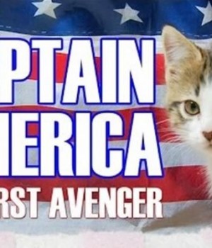 captain-america-chatons