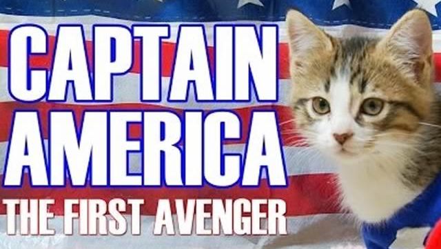 captain-america-chatons