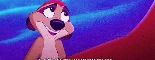 timon timon