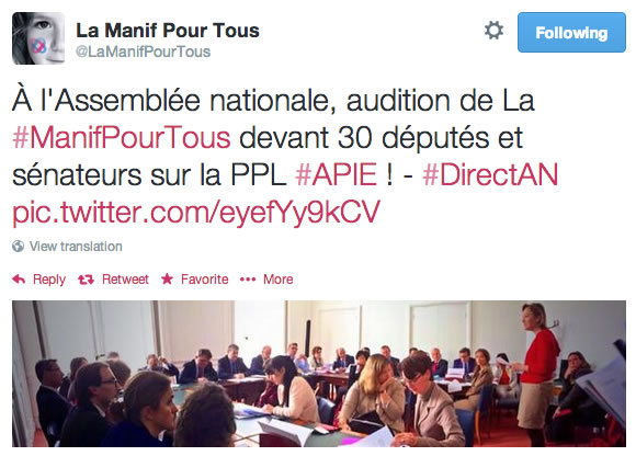 manif-pour-tous-audition-loi-apie