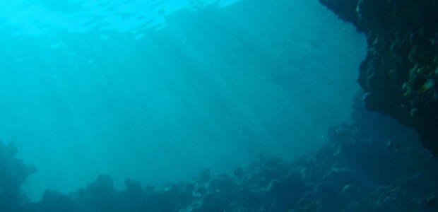underwater-shot-relality