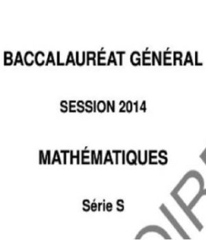 bac-s-math-2014-difficile