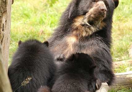 ours1 ours1