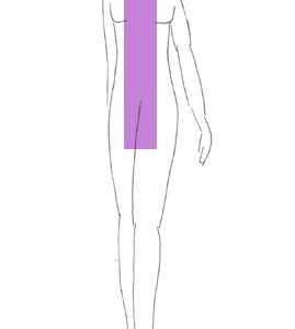 morphologie en I morphologie en I