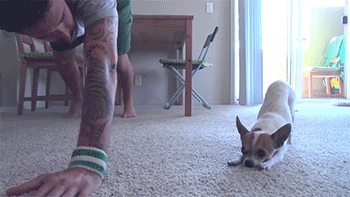 yoga yoga