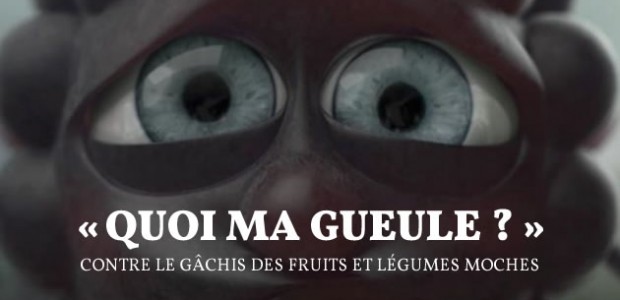 big-gueules-cassees-gachis-fruits-legumes