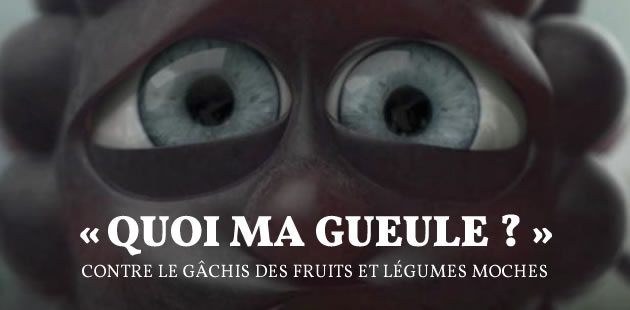 big-gueules-cassees-gachis-fruits-legumes