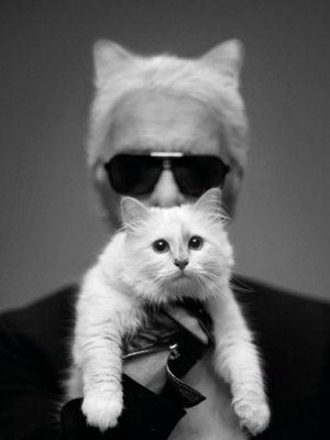 choupette-lagerfeld