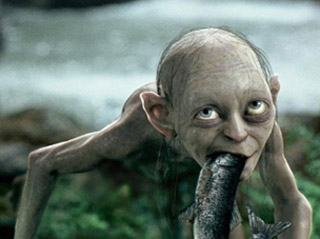 gollum-mange-poisson