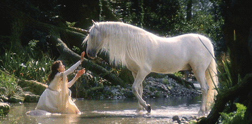licorne licorne